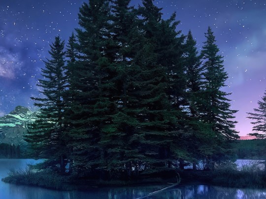 Noches de Paz y Estrellas: Escapismo Perfecto en las Orillas de un Lago
