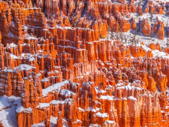 Desvendando o Encanto do Inverno: Um Cenário de Neve Deslumbrante no Canyon