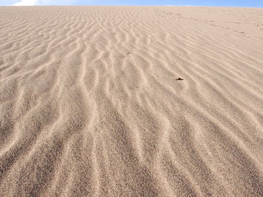 Azure Dreams: Onde o Deserto Encontra o Céu Azul