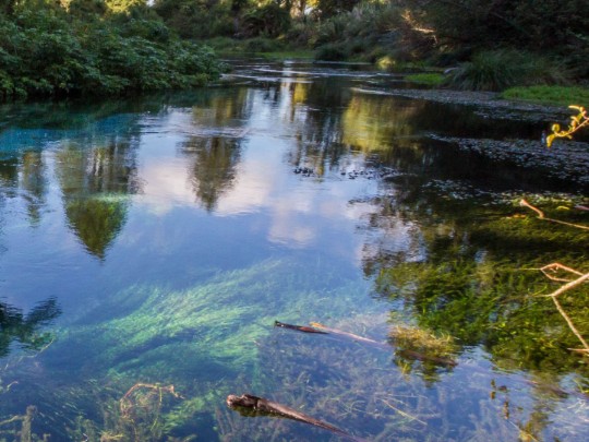Rivière Turquoise Éblouissante Découverte au Cœur de l'Amazonie - mode de vie news from xants.net