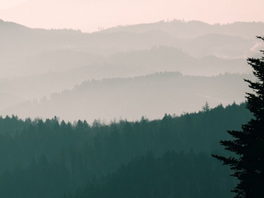 Whispers of Dawn: A Mountain's Embrace in Morning Mist