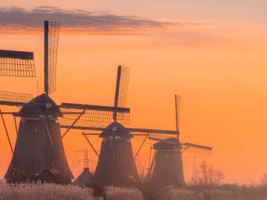 Espectáculo al Atardecer: Molinos de Viento y Reflejos Dorados en un Lago Tranquilo