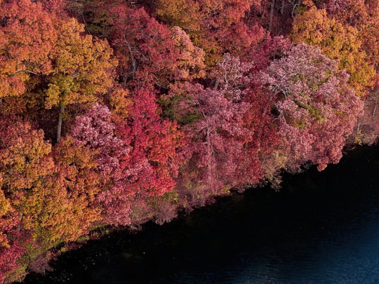 Magia Autunnale sul Lago: Un'Oasi di Pace tra Foreste Infuocate