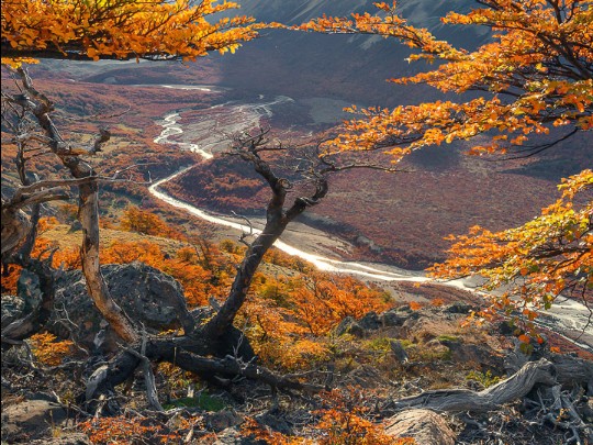 Incanto Autunnale: Un Viaggio tra le Montagne Dorate e il Canto del Fiume