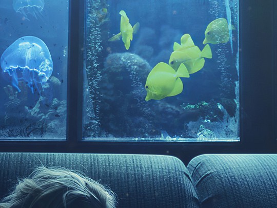 水族館で読書体験を!没入感と癒やしが融合した、新しいリラックス方法