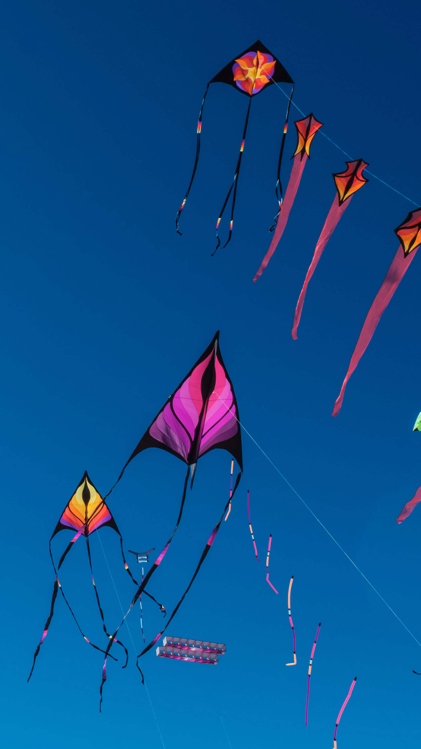 Betoverende Luchtshow: Het Grootste Kite Festival Terug in Nederland!