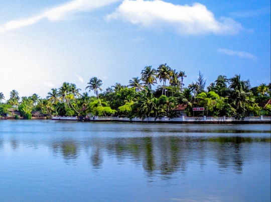 Coconut Grove, Miami: Belleza en sus Canales y Reflejos - estilo de vida news from xants.net