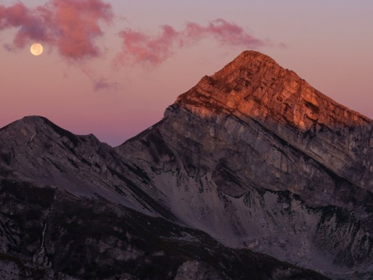 Magia Invernale: L'Ora Dorata che Trasforma la Neve in un Sogno