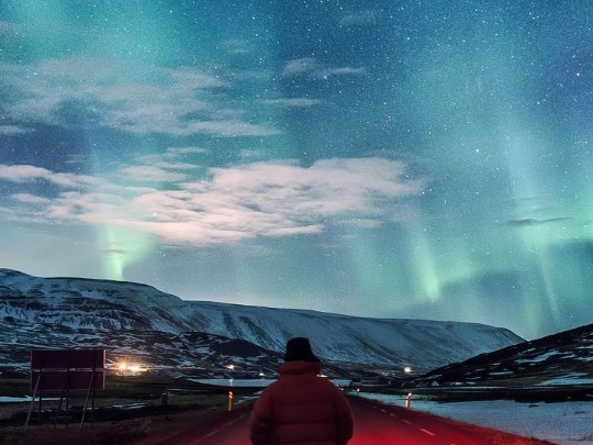 Chasse à l'Aurore : un moment de solitude