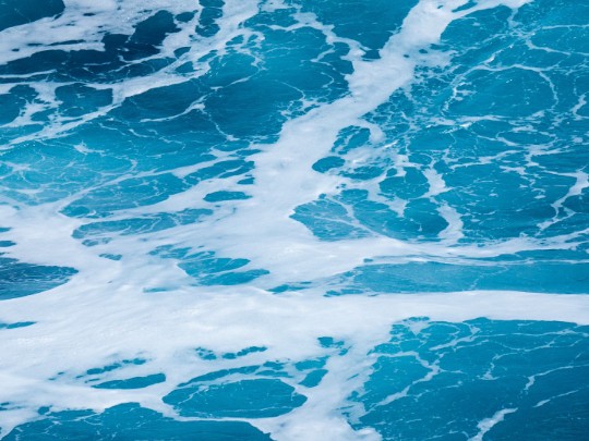L'Éphémère Magie de la Mousse Marine : Un Ballet Océanique à Contempler
