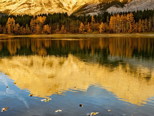 El Espectáculo del Otoño: Un Viaje Visual por Lagos y Montañas