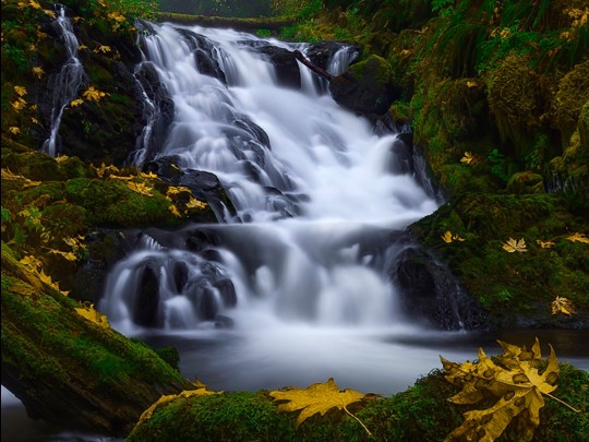 A Serenata Escondida do Outono: Uma Cascata Mágica em Meio às Cores da Natureza