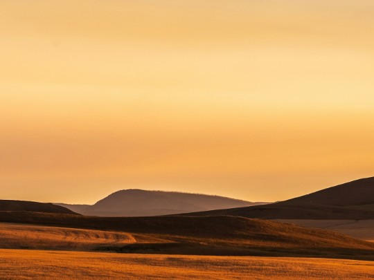 Chasing the Golden Hour: Finding Serenity in a Field at Dusk