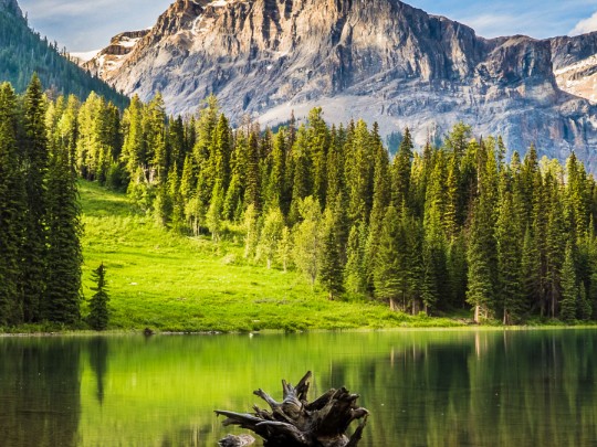 Lake & Mountain Reflection: Stunning Scene Captures Nature's Beauty - estilo de vida news from xants.net