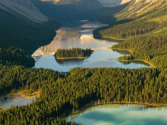 Descubre el paraíso natural: un viaje inolvidable a través del lago y el bosque