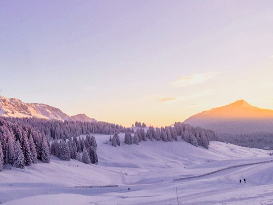Magia Invernal: Atardeceres Dorados en un Paisaje de Nieve