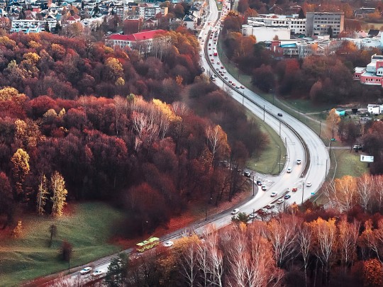 Outono Urbano: Uma Ode à Beleza Efêmera nas Ruas da Cidade