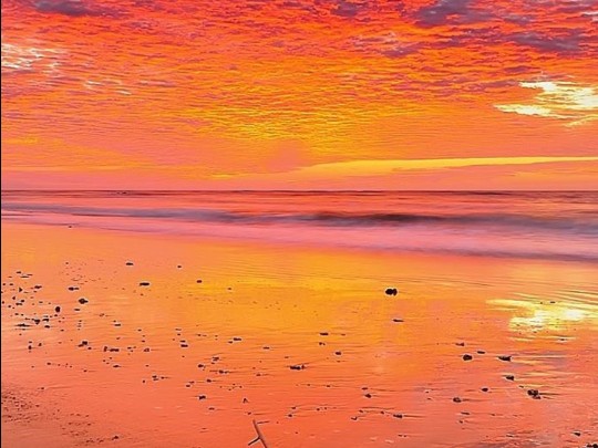 Chasing Golden Hour: A Beach Sunset Dream (em inglês)