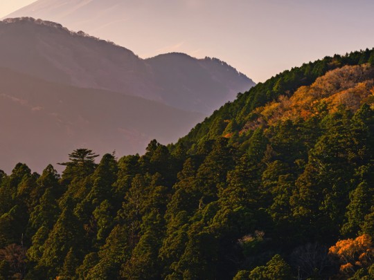 Explora la Vista Impresionante del Monte Fuji y el Lago Sagrado: Un Destino de Ensueño