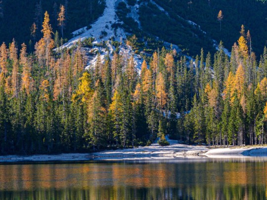 Automne Spectaculaire: Reflets Lacustres et Splendeur Montagnarde - Un Voyage Visuel Inoubliable