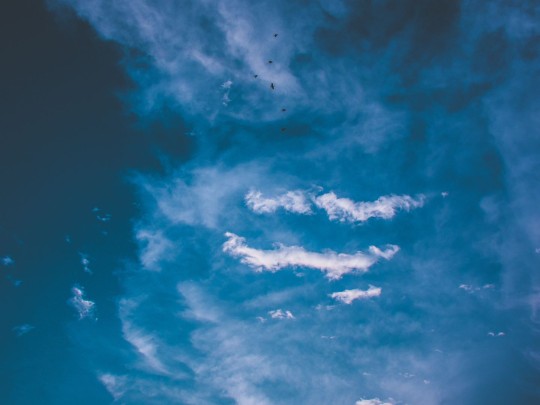 Dançando com o Céu: Pássaros e a Beleza das Nuvens