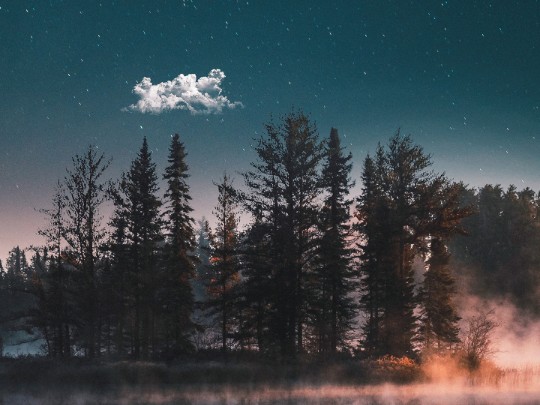 Danza celeste: una notte di stelle, meteoriti e riflessioni su un lago stellato