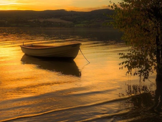 Magia al Atardecer: Navega y Vive la Hora Dorada