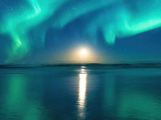 Chasing the Northern Lights: A Magical Winter Night Under the Aurora and Moonlight