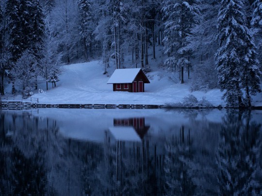 Winter's Embrace: Snowscape Lake House'da Serenity Bulma