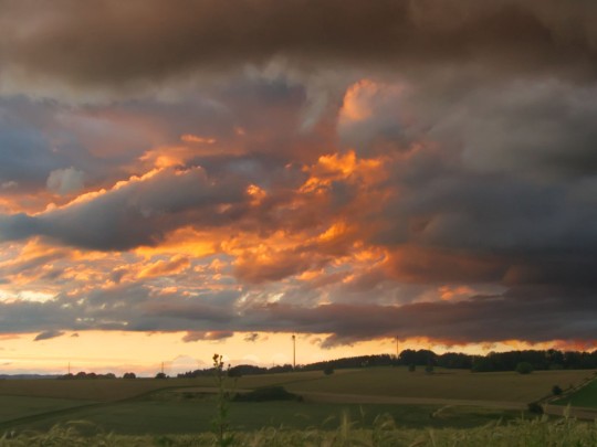 Campo de Trigo Dorado Brilla Bajo Nubes Oscuras en Espectacular Atardecer - estilo de vida news from xants.net