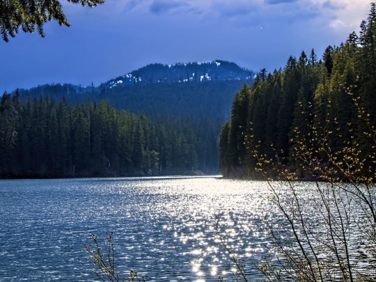 Where the Mountains Meet the Glow: Finding Serenity in a Secluded Forest - Lifestyle news