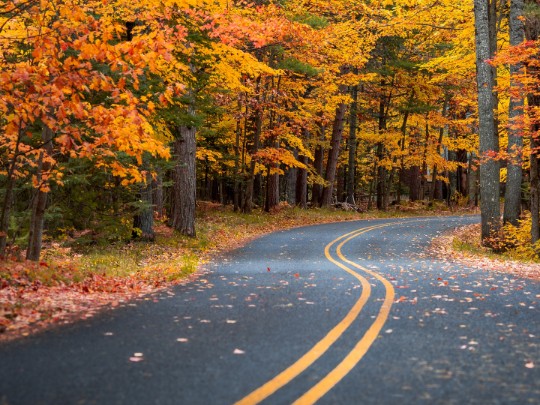 Ruta de Otoño en Argentina: Descubre Paisajes de Ensueño en Carretera