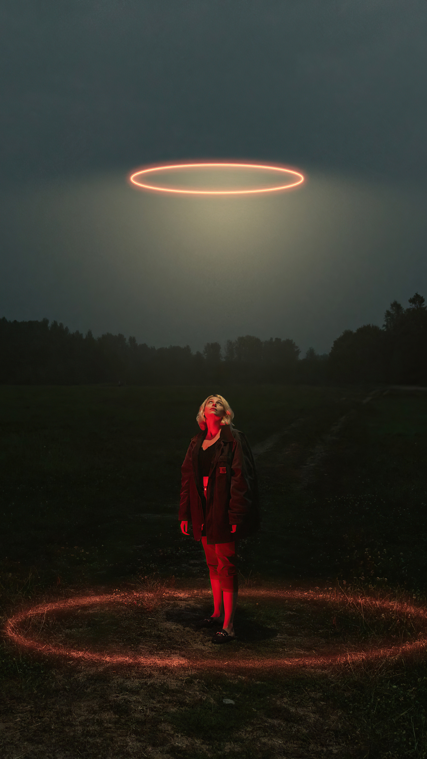 Whispers of Light: A Moment in the Field
