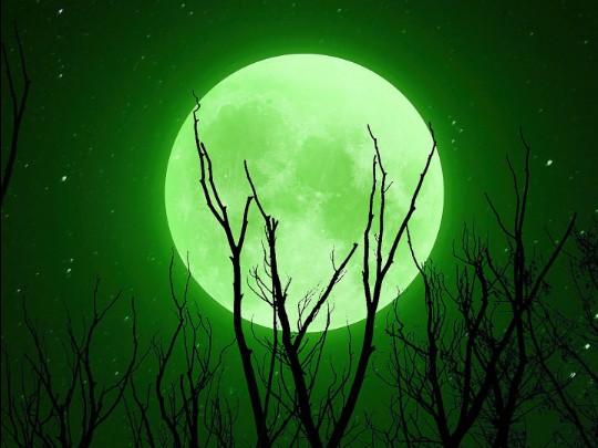 Noche de Luna Llena en el Bosque Muerto: Un Espectáculo de Belleza Melancólica