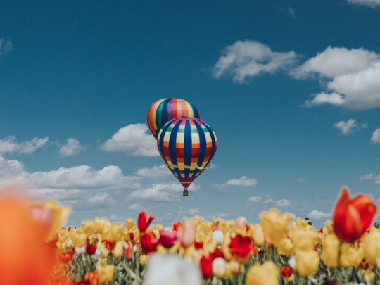 Vuela Entre Flores: Una Experiencia Única en Globo Aerostático en Venezuela