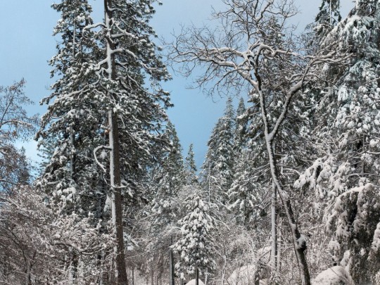 Évasion hivernale : Un road trip en voile sous la neige - L'appel de la nature