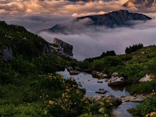 Los susurros de la serenidad: perdidos en un mar de nubes de montaña