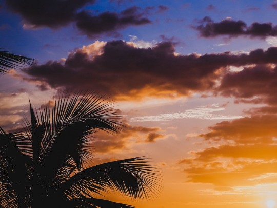 Stunning Tropical Sunset Dazzles Ocean Viewers - Lifestyle news