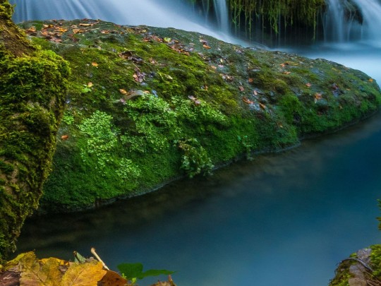Hidden Waterfall Paradise: Discover Autumn's Magic in South Africa's Secret Sanctuary