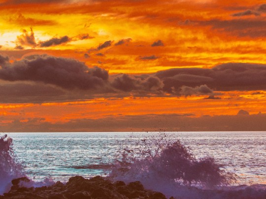 Magia do Pôr do Sol: Um Guia para Experienciar a Beleza Hipnotizante do Oceano