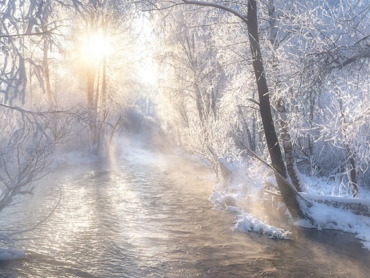 L'Éclat de l'Hiver : Comment un Ruisseau Apporte Sérénité et Joie