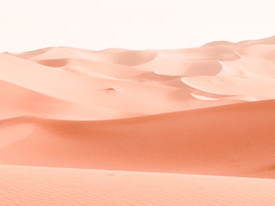 Unearthing Secrets: A Journey Through Australia's Desert Heart