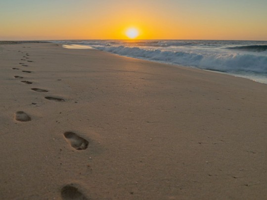 Sunrise Footprints: Beauty on Golden Beach - Lifestyle news