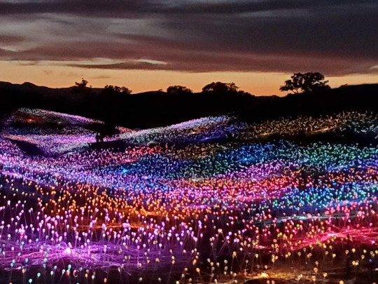 Noite Mágica: Um Oceano de Luzes e Reflexões ao Entardecer