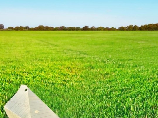 Aviões de Papel Dourados: Uma Dança Etereal no Campo