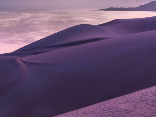 Magia al Tramonto: Un'Oasi di Pace tra le Dune Dorate