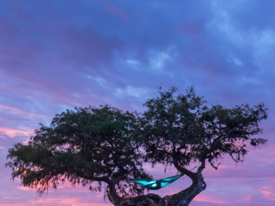 Refúgio Relaxante: Descubra a Paz em um Rede à Beira do Lago