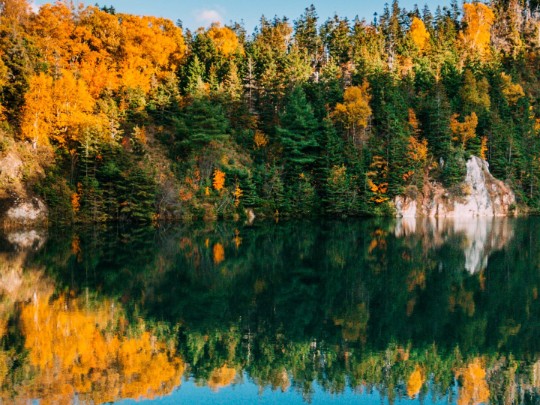 Bosque Otoñal: Colores y Reflejos Mágicos en el Lago - estilo de vida news from xants.net
