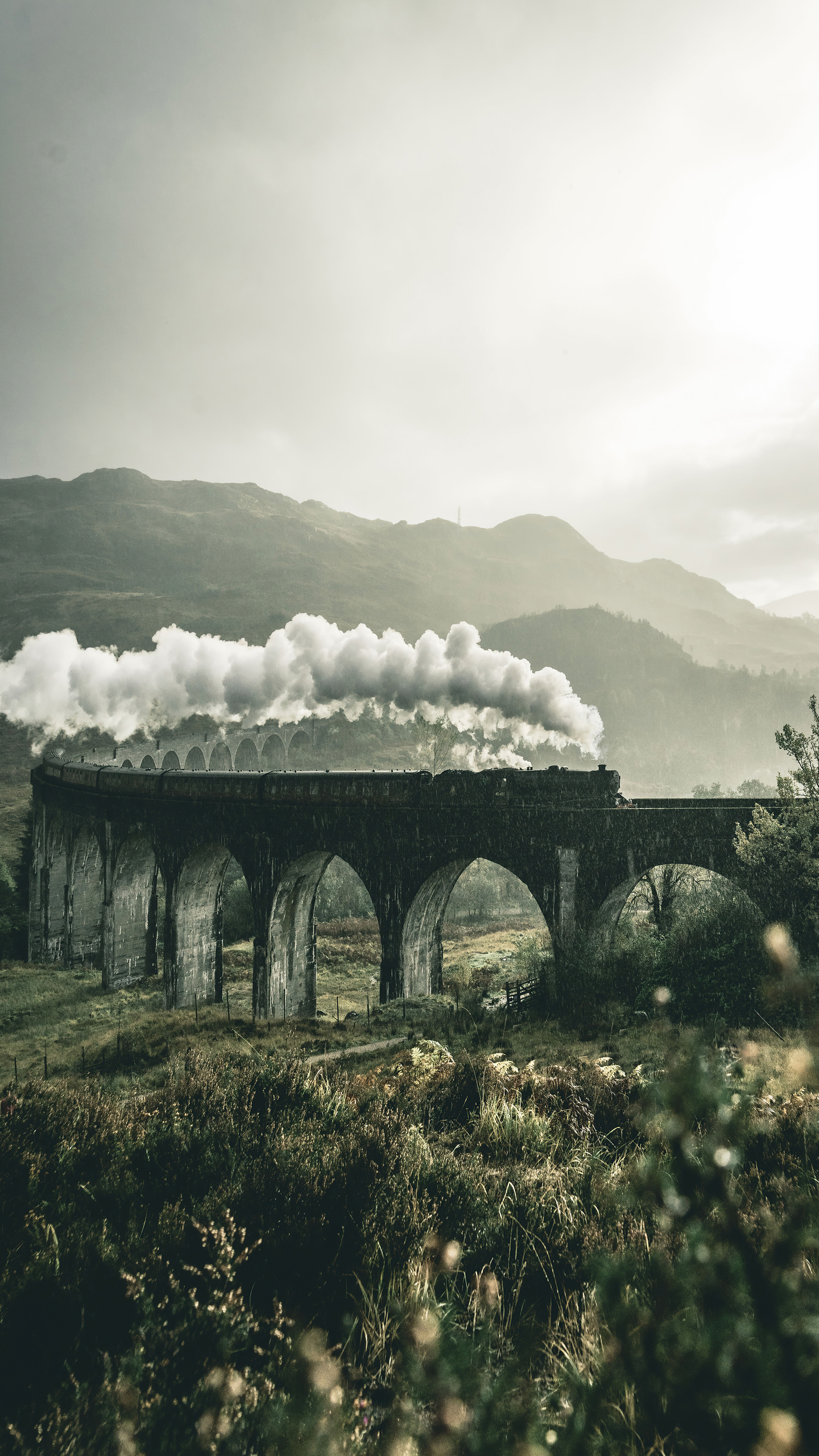 Il Fascino Intramontabile dei Treni a Vapore e dei Viadotti: Un Viaggio nel Tempo e nell'Ingegneria
