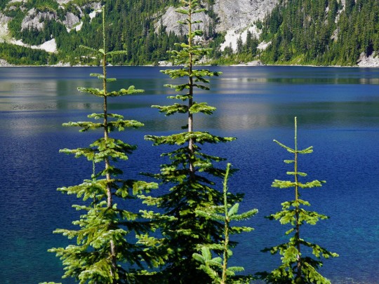 Lago Boscoso: Escapada Mágica en Montañas - estilo de vida news from xants.net